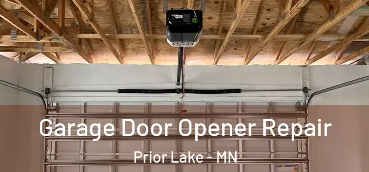  Garage Door Opener Repair Prior Lake - MN