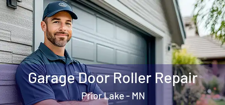  Garage Door Roller Repair Prior Lake - MN