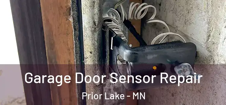 Garage Door Sensor Repair Prior Lake - MN