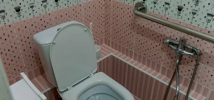 Meeting Diverse Needs With Accessible Restroom Solutions in Prior Lake, MN