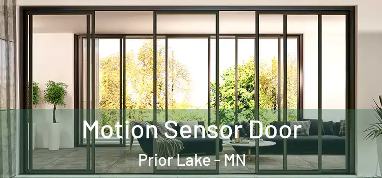 Motion Sensor Door Prior Lake - MN